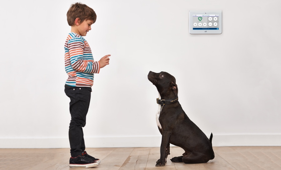 Oneida security systems